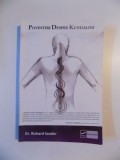 POVESTIRI DESPRE KUNDALINI de RICHARD SAUDER , 2011