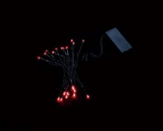 Ghirlanda luminoasa decorativa 20 LED-uri rosii cablu negru WELL foto