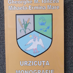 URZICUTA MONOGRAFIE - Ioncea, Mare