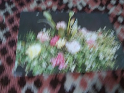 CARTE POSTALA -FELICITARE SARBATORI foto