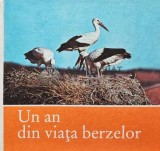 Un an din viata berzelor - 1981 - Claus Schonert (AB56), Ion Creanga