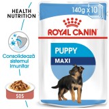 Hrana umeda caini, Royal Canin Maxi Puppy, plic 140 g, talie mare, junior, carne in sos