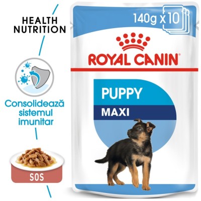 Hrana umeda caini, Royal Canin Maxi Puppy, plic 140 g, talie mare, junior, carne in sos foto