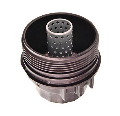 Capac, Carcasa Filtru Ulei 404447 FE176601