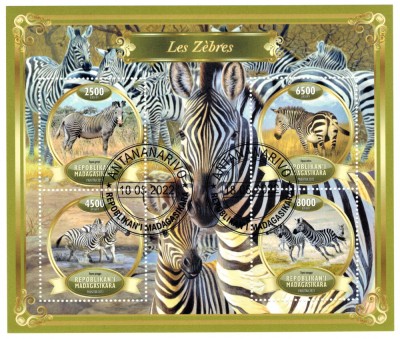 MADAGASCAR 2022 - Fauna, Zebre / set complet colita + bloc foto