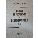 DREPTUL DE PROPRIETATE SI DEZMEMBRARILE SALE-LIVIU POP-222930