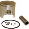 Kit piston drujba 3800, 39 mm (DR)