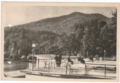 AMS - ILUSTRATA 1330, SOVATA - TERASA BAILOR, cu perforari foto