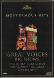 Various - Great Voices Big Shows, DVD-V