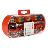 Set becuri de rezervă, siguranțe, 30 buc. H7 + H7 AMIO-03959