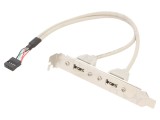 Adaptor USB A Soclu x2 Conector 10pin 0.25m