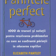 Părintele Perfect (vol. 2) 1000 de trucuri și soluții pentru rezolvarea problemelor cu care se confruntă părinții în educarea copiilor: Dicționar M -