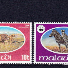 DB1 Fauna Africana 1978 Malawi 4 v. MNH