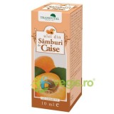 Ulei din Samburi De Caise 10ml