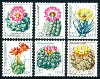 DDR 1983 - Flori de cactus, serie neuzata foto