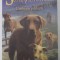 SUPRAVIETUITORII , UMBRELE PADURII , CARTEA A - IX -A de ERIN HUNTER , 2021 *PREZINTA INDOITURI