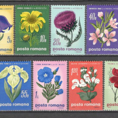 Romania.1970 Flori de stepa DR.226