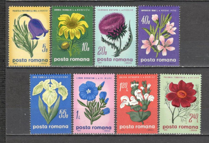Romania.1970 Flori de stepa DR.226