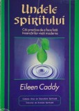 Undele spiritului. Cai practice de a face fata incercarilor vietii moderne &ndash; Eileen Caddy