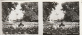 Fotografie stereoscopica-Galati , Gradina publica,pe marginea lacului Brates, Alb-Negru, Romania 1900 - 1950, Natura