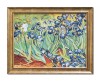 Tablou celebru inramat pictat manual, Irisi la Saint-Remy - 45x35cm ulei pe panza reproducere Vincent van Gogh