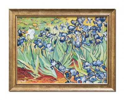 Tablou celebru inramat pictat manual, Irisi la Saint-Remy - 45x35cm ulei pe panza reproducere Vincent van Gogh foto