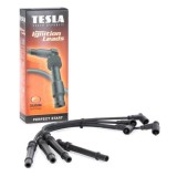 Fise bujii Dacia Logan I, II, Sandero I, II benzina 1.2 Tesla 32924 T495B