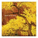 Being with trees: awaken your senses to the wonders of nature