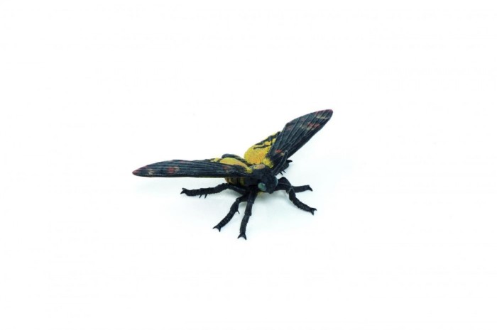 PAPO FIGURINA MOLIE