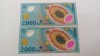 Rom&acirc;nia- 2000 Lei 1999 -Consecutive-UNC