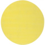 Evotools 679483 - Foaie abraziva rotunda 210 mm granulatie 240 fara gauri 1 bucata