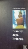 Brancusi dupa Brancusi - Ioan Viorel Badica