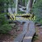 Understanding Moonseed