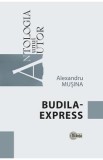 Budila - Expres - Alexandru Musina