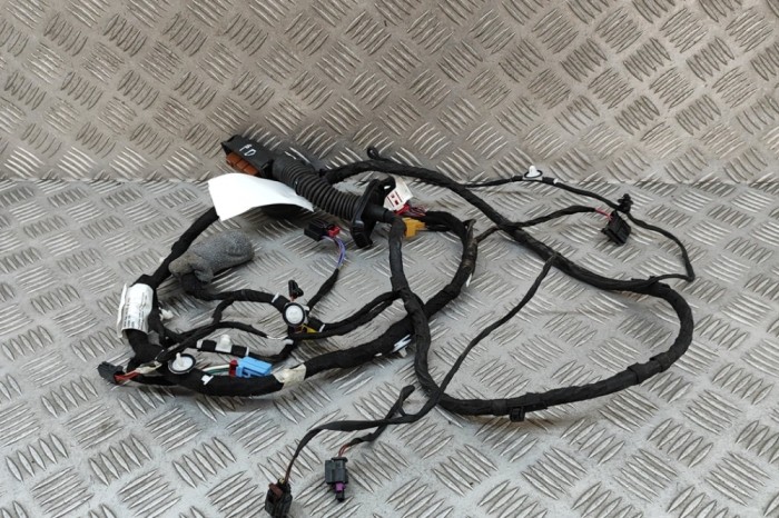 Cablaj ușă dreapta față AUDI E-TRON GEN 2019 OEM: 4KE971030 | 28515626