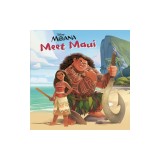 Meet Maui (Disney Moana)