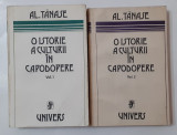 Al. Tanase - O Istorie a Culturii in Capodopere Vol. 1 + Vol. 2 (Vezi Descrierea, Polirom