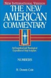 The New American Commentary - Numbers