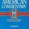 The New American Commentary - Numbers