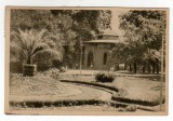 BUZIAS PARCUL LIBRARIA NOASTRA RPR