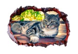 Cumpara ieftin Autocolant decorativ, Gaura in perete, Multicolor, 85 cm, 504STC-1, animale si pasari, Oem