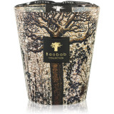 Baobab Collection Sacred Trees Morondo lum&acirc;nare parfumată 16 cm