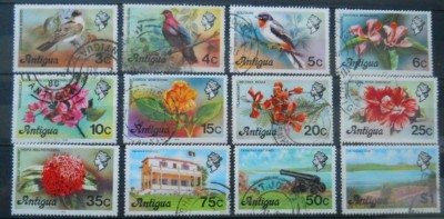 ANTIGUA FAUNA foto