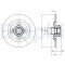 DELPHI BG9025RS Disc frana