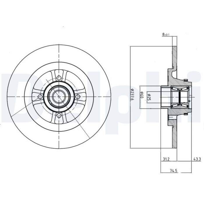 DELPHI BG9025RS Disc frana