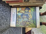 Nicoară Potcoava vintage