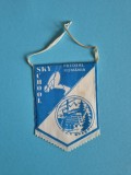 Fanion Sky School Predeal, Romania, OJT Brasov / CD1P