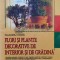 Flori si plante decorative de interior si de gradina - 2006 - Claudiu Voda (O97)