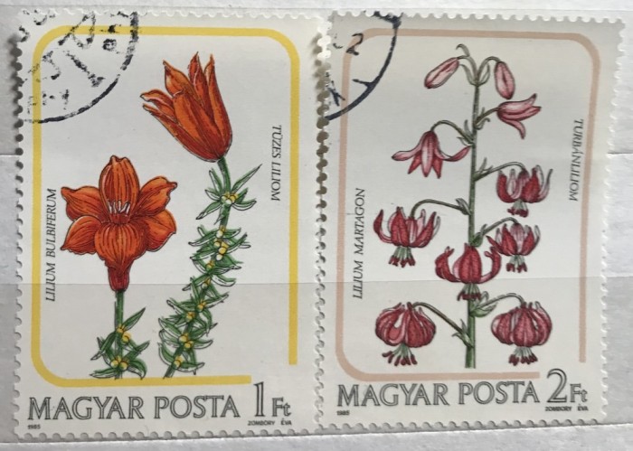 (B ) Timbre serii Straine Flora Flori Ungaria