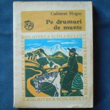 PE DRUMURI DE MUNTE - CALISTRAT HOGAS